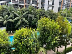 Coco Palms (D18), Condominium #544358401